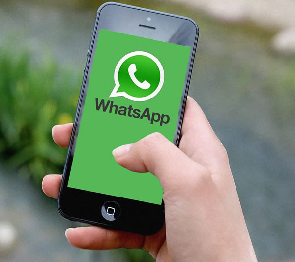 Whatsapp download phone image