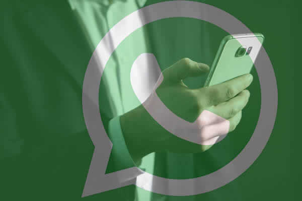 WhatsApp for Business image